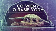Co wiemy o RASIE YODY? [HOLOCRON]