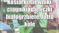 Kosiarki, siewniki, ciągniki i cieliczki białogrzbiete.  Jutro kolejny dzień Agro Show w Ułężu