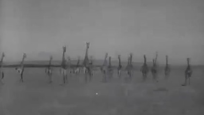 Sprawa Macombera (1947 mp4 lektor Przygodowy