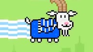 Nyan Goat - Poznańska odpowiedź na sławnego kota!