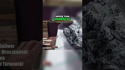 Moje nowe paludaria.