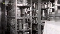 Czerwone gitary - Kwiaty we włosach