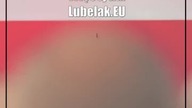 Świdnik: Premier przyjedzie do Świdnika