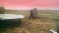Enya - I want tomorow