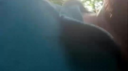 Spacer Leśny po deszczu! Pies Rubik i Sarmata w lesie! Wędrówka z Q&A! Pogadanka mobilna z Koszalina