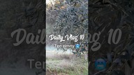 Ten zimny.  Daily Short 10.  #kamper #portugalia #działka #vanlife #vanlifepolska