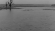 Agnieszka 46 (1964)