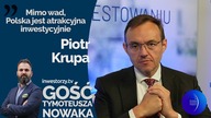 Kruk to europejski gracz z ambicjami na wzrost i regularne dywidendy