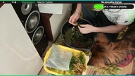 Obsadzamy 54L [LIVE #7]