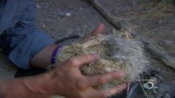 Man. vs. Wild. s04e04. Texas. 720p