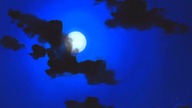 5.  Taiho Shichauzo - You Are Under Arrest S2 (2001r) [HQ] [SUB PL] - odcinek 21