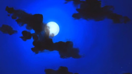 5.  Taiho Shichauzo - You Are Under Arrest S2 (2001r) [HQ] [SUB PL] - odcinek 21