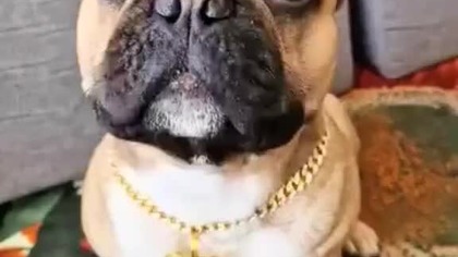 Takie same charaktery.