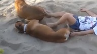 Zabawa z psem na plaży