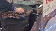 Kasztany.   Pigal