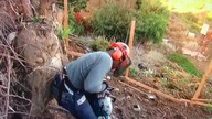 Jak NIE używać piły mechanicznej