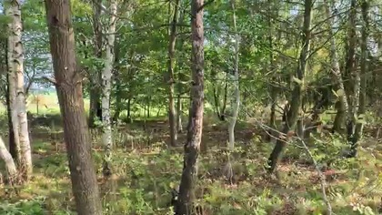 Polska Gdzie ta Złota