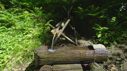 In the heart of an old forest, far from the trails, a hidden spring flows. We invite you to listen to its pure, soothing sound. This video is your moment of escape to a place full of peace and natural magic.

Listen to the gentle gurgle of the water, which has flowed for ages in the same, uninterrupted rhythm. This authentic recording, with no additives, is the perfect tool for deep meditation, calming the mind, and escaping from the daily hustle and bustle.

CHAPTERS:
00:00 - Soothing hum of the forest spring
05:00 - A moment of deep relaxation
10:00 - Water sounds for meditation and sleep

THIS RECORDING IS PERFECT FOR:
 DEEP SLEEP: The continuous, natural sound of water is one of the most effective sounds (white noise) for masking other noises and helping you fall asleep.
 RELAXATION AND ASMR: The sound of flowing, pure water is a classic trigger for pleasant tingles and deep relaxation.
 WORK &amp; STUDY: Create a calm, focused environment that will help you block out distractions.
 MEDITATION: Let the rhythm of the water guide you into a state of deep calm and mindfulness.
 UNWINDING AFTER A LONG DAY: Your personal oasis of calm, available whenever you need it.

Recorded On / Gear Used:
Camera: Panasonic Lumix S5
Audio: Sennheiser MKE 600 +Blimp + Zoom F3
Nature Sounds Therapy is your source for authentic, high-quality nature recordings.

 Listen to our podcast on Spotify:
 https://open.spotify.com/episode/65ZRyfNEcQsRYrCcP4s6Iq?siTQwoqFp5TI-fKx7rJHbvYQ

 Download recordings in the highest quality on Patreon:
 https://patreon.com/NatureSoundsTherapy

 Also find us here:
 Castbox.fm: https://castbox.fm/app/castbox/player/id6655965
 Amazon Music: https://music.amazon.com/podcasts/5e147146-3ba6-4cde-bbbf-bca8170837c0/the-sounds-of-flowing-water

We Care About Your Peace and Safety

Your well-being is important to us, so please remember a few key guidelines. These recordings are meant to bring you comfort and relaxation, but they are not a substitute for professional medical care. If you struggle with insomnia, anxiety, or tinnitus, consulting a doctor is the best course of action.

Please also listen responsibly. Ensure the volume is at a safe level, and never listen while driving or operating machinery. Lets protect the hearing of our youngest listeners as well.

&copy; Nature Sounds Therapy, 2025