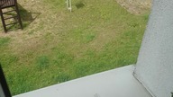 POV: kiedy muzyk zapomni tekstu  #clip