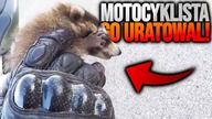 MOTOCYKLISTA RATUJE MAŁEGO SZOPA!