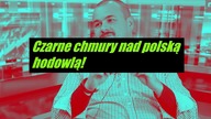 Ustawa odorowa i Mercosur. Jak niszczony jest polski hodowca? | P. Lisiecki