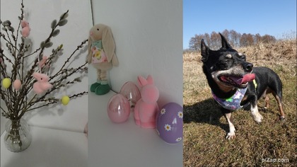 Dekoruje dom na Wielkanoc 