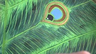 żółty smok i ośmiornica- Jajka niespodzianki, Baw się z nami