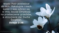 Janek Pajor - Pan powiedział ty pójdź za mną