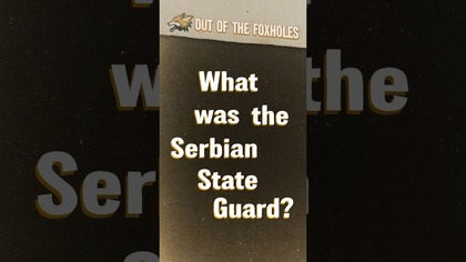 What Was the Serbian State Guard in WWII? #OOTF #shorts