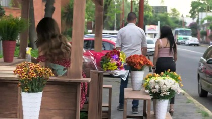 Corazón Guerrero 019 NAPISY PL