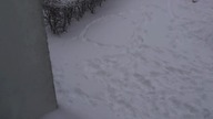 Zima w Polsce, zimno jak...  #snow