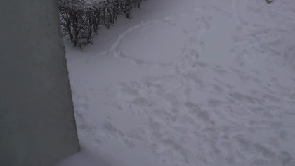 Zima w Polsce, zimno jak...  #snow