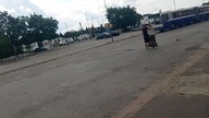 Przyjazd Volvo B10MA #2459 na Chemik i odjazd MANa NG313 do Myślęcinka