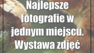 Najlepsze fotografie w jednym miejscu.  Wystawa zdjęć roku 2023