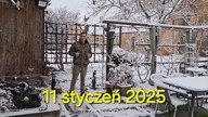 Śnieg, kury i przepiórcze jajko * 11.  01.  2025