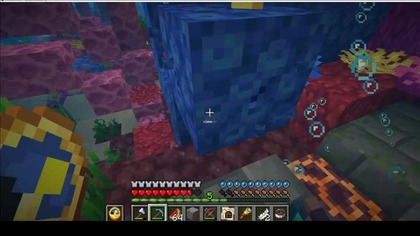 Interesting that something that gives you damage underwater also gives you oxygen #minecraft #game