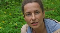 PRZYTULIA CZEPNA