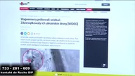 Komputer Świat promuje dzikość