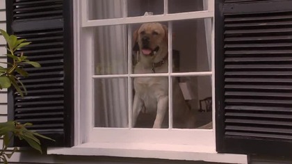 Rufus 1