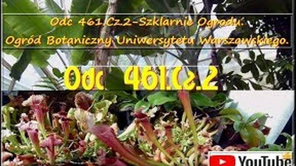 Odc 461. Cz. 2-Szklarnie Ogrodu. Ogród Botaniczny Uniwersytetu Warszawskiego.