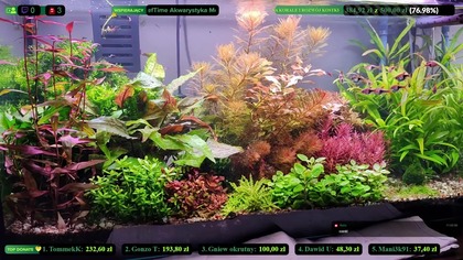 Made with Restream. Livestream on 30+ platforms at once via https://restream.io

Sprzątamy, przesadzamy i gadamy  :)

-------------------------------------------------------------------------------------------------------------------------------------------------
Zacznij wspierać ten kanał, a dostaniesz te bonusy:
https://www.youtube.com/channel/UCaMYr1C1Y0cHNbDgik_wIMA/join

Zapraszam na FB: https://www.facebook.com/bekonakwa
Discord: https://discord.gg/BkbHsheY2A

-----------------------------------------------------------------------------------------------------------------------------------------------------
!!!DONATE!!!  Podoba Ci się i chcesz mnie wesprzeć: https://tipply.pl/u/konradxxx3   !!!DONATE!!! 
------------------------------------------------------------------------------------------------------------------------------------------------------
https://bekonstudio.pl/