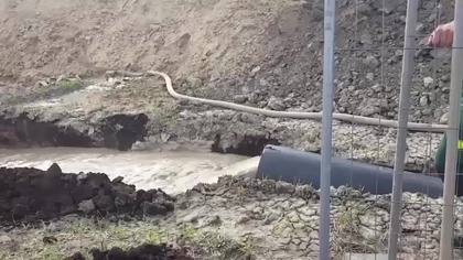 Kiedy wszyscy pójdą do toalety