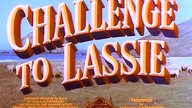 Wyzwanie dla Lassie Challenge to Lassie (1949)