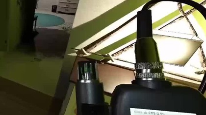 #bug #phasmophobia #kineticgames #shorts