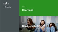 SVT1 - Program dnia / Dagens agenda (27. 06. 2023)