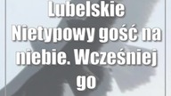 Lubelskie: Nietypowy gość na niebie.  Wcześniej go tu nie było