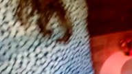Pijana dziewczyna wchodzi do męskiej toalety
