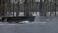 Aligator 1976 lektor pl