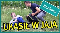 WĄŻ UKĄSIŁ W JAJA || Suchary#35