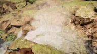 Farcry Primal-Oswajamy wilka,atakujemy i idziemy na sakwy.  #3